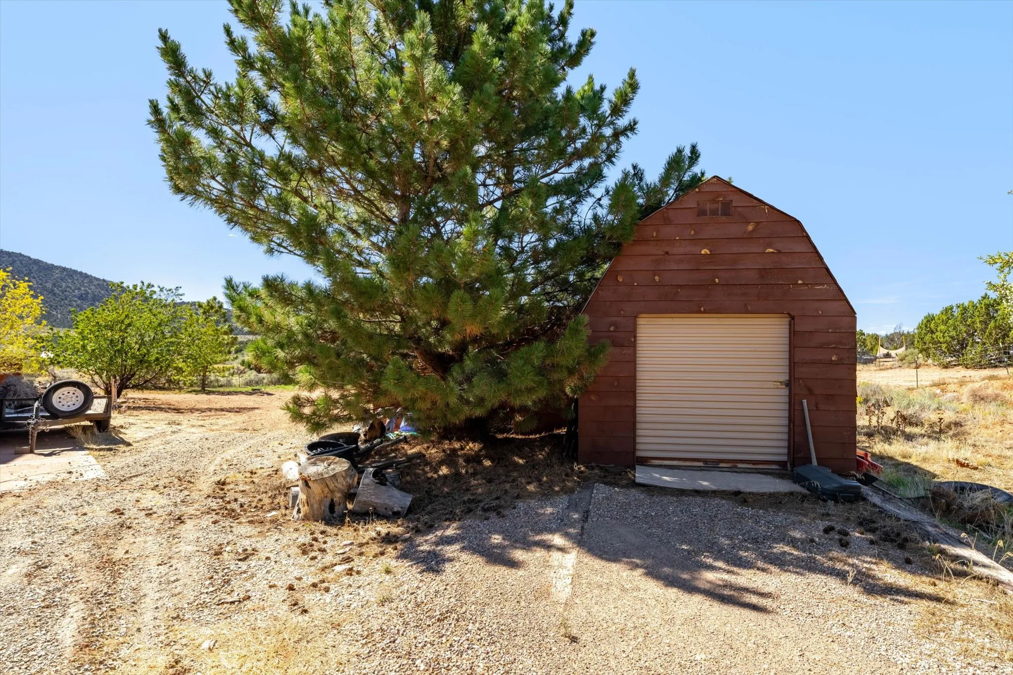 Barn-style outbuilding with a roll-up door