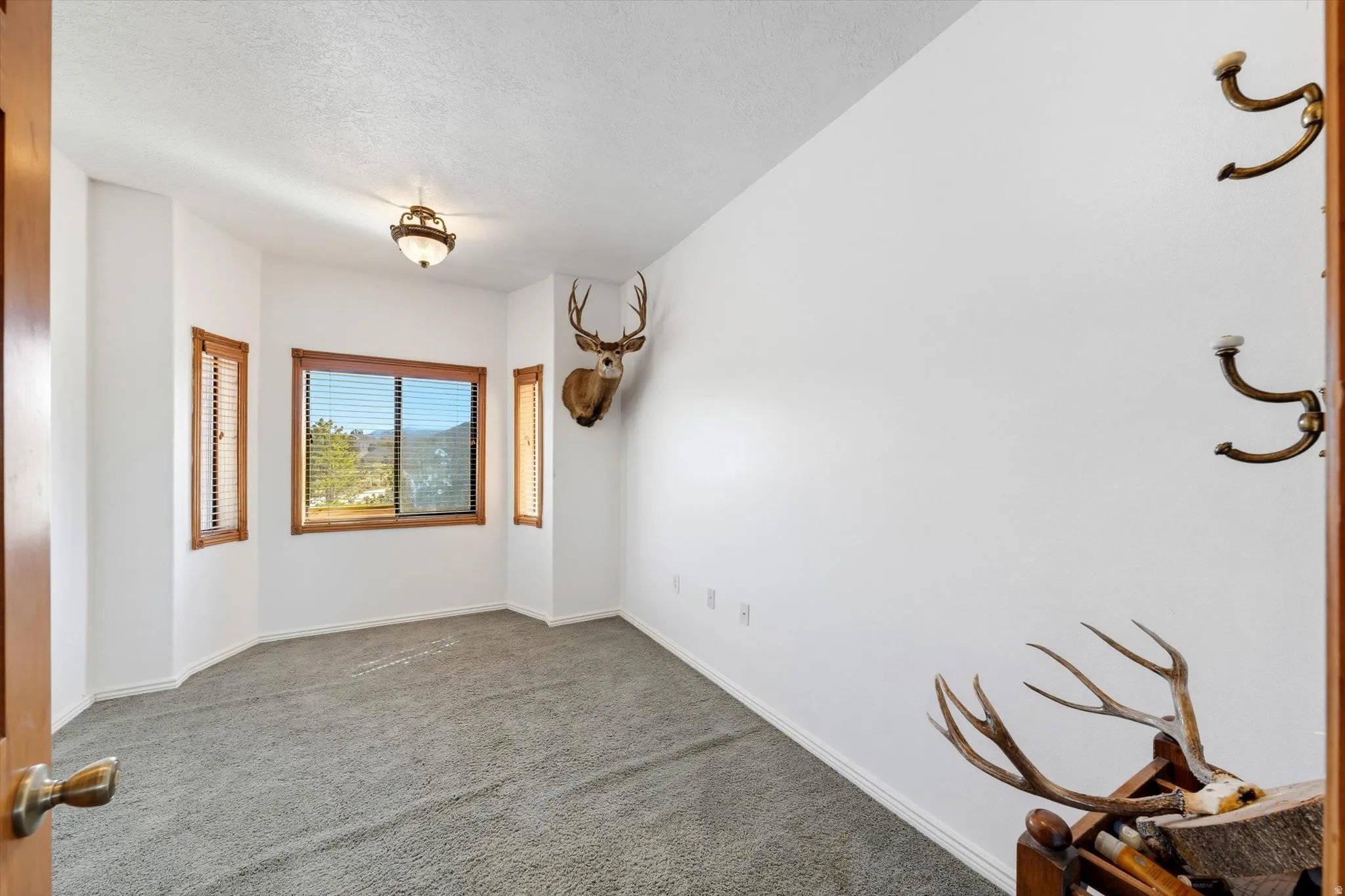 Bay window with mountain scenery, wood-finish window frames, and wall-mounted lighting fixture