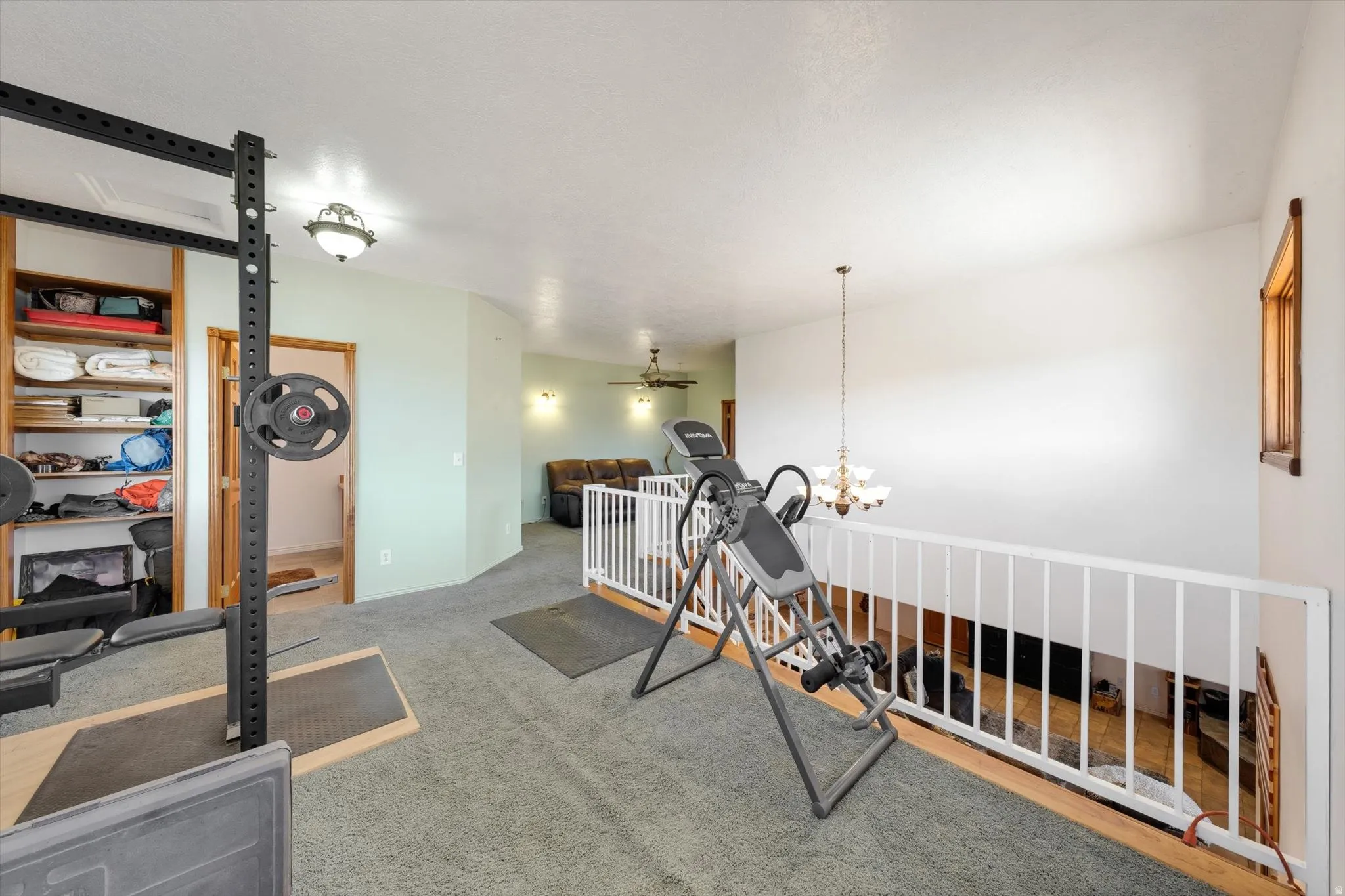 Carpeted loft area with white railing, wood-framed window, and built-in shelving
