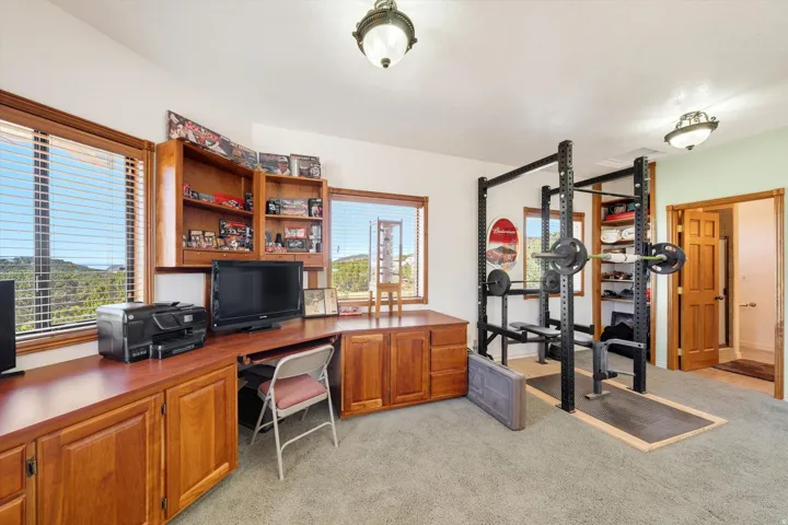 Built-in wood cabinetry, wood-framed windows, and carpeted flooring