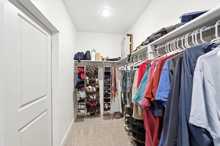 Walk-in closet featuring white walls, carpet flooring, a single overhead light fixture, and built-in white shelving