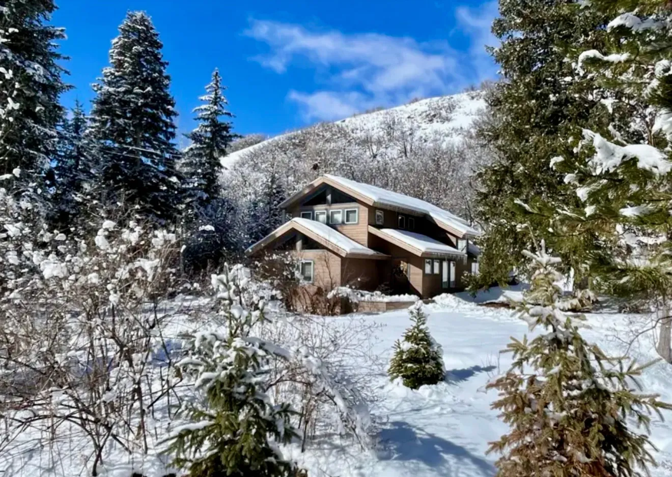 Multi-level property with an A-frame roofline, featuring multiple windows and surrounding mature evergreen trees