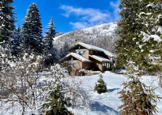 Multi-level property with an A-frame roofline, featuring multiple windows and surrounding mature evergreen trees