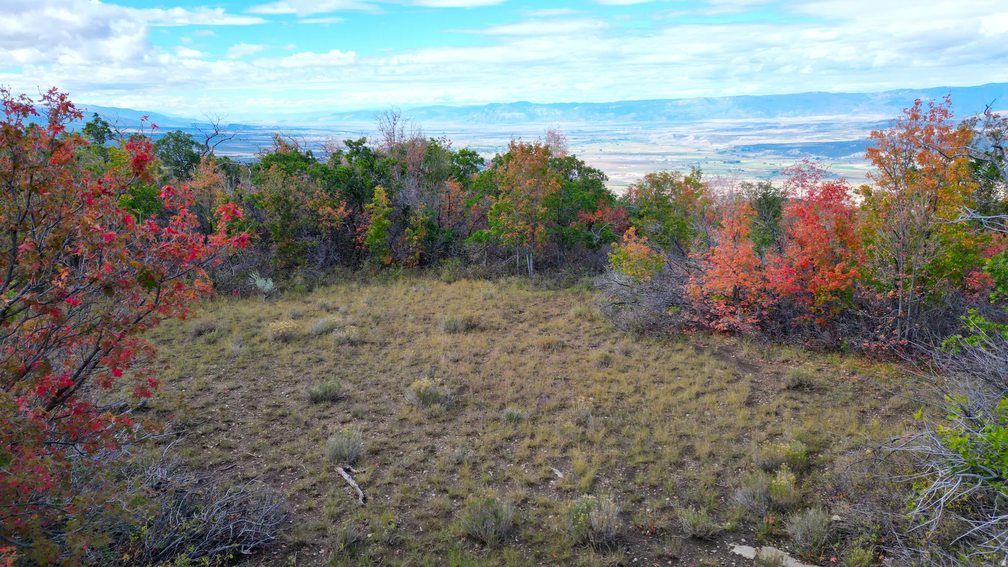 Expansive natural landscape featuring varied terrain and distant mountain ranges