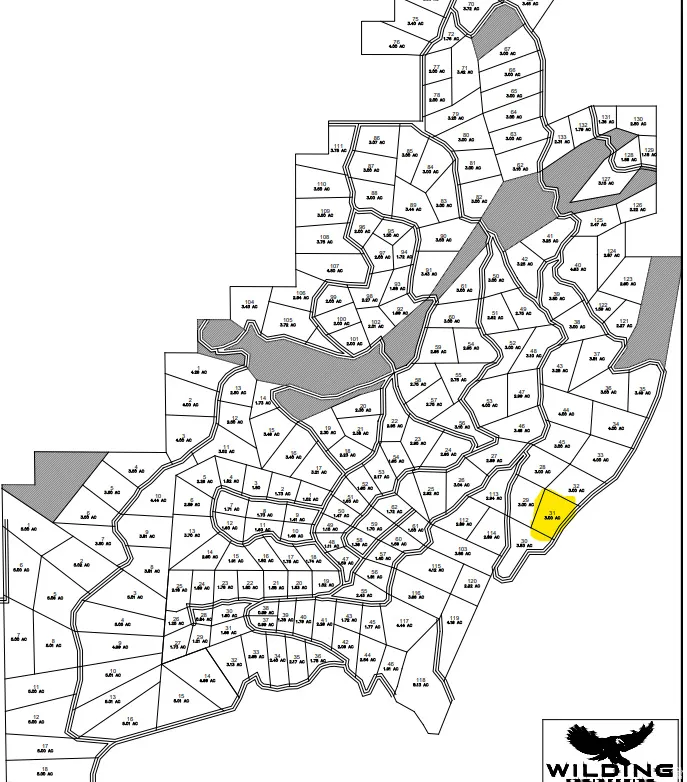 Plat Map. Illustrating subdivided parcels within Legacy Mt parcel 31 highlighted