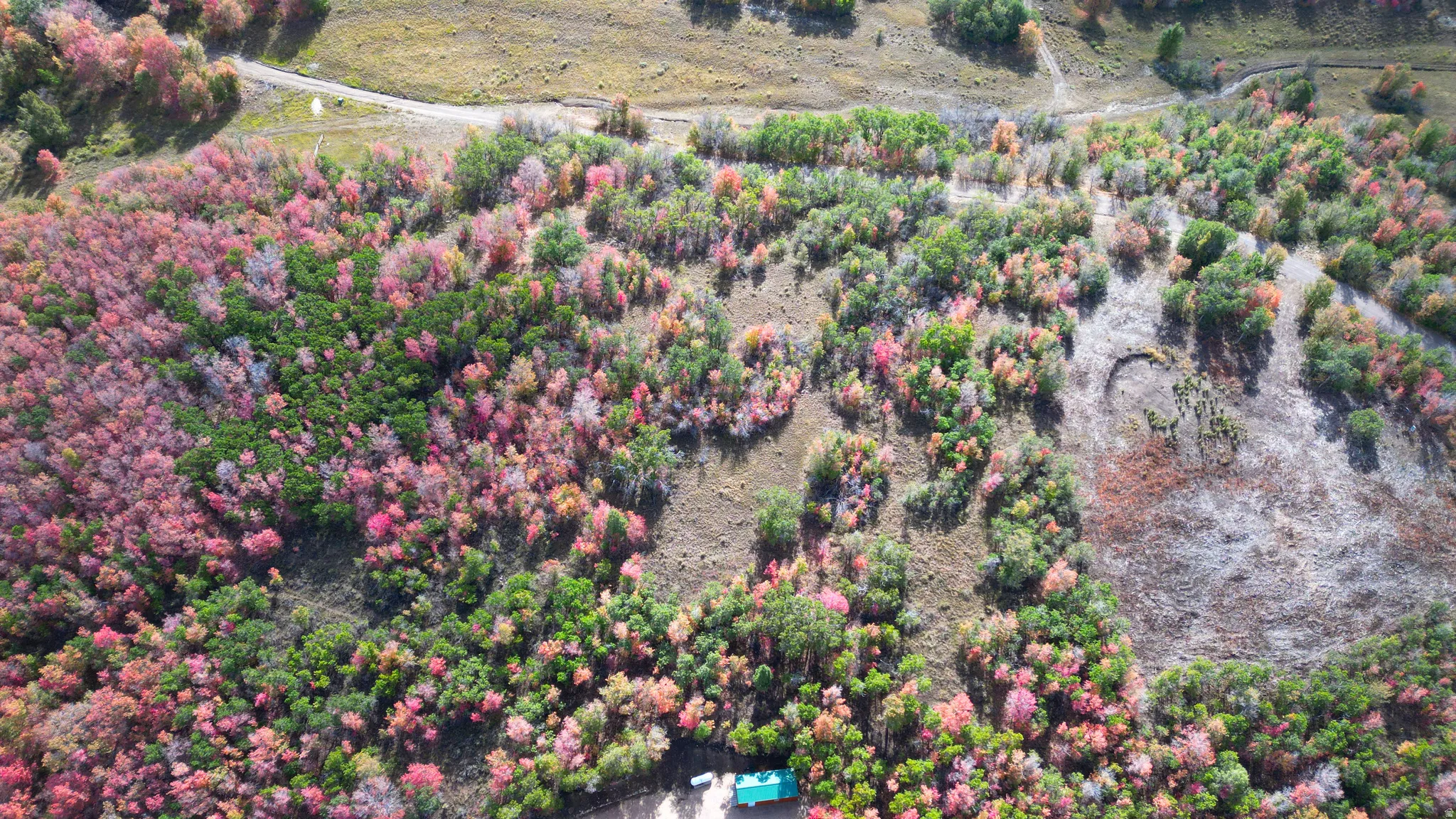Expansive land featuring diverse foliage and varying terrain
