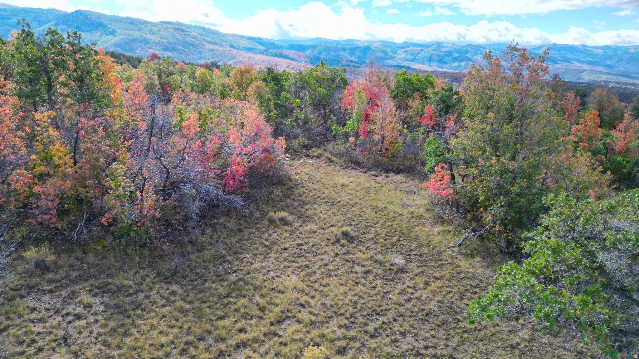 Expansive land parcel featuring natural foliage and distant mountain ranges