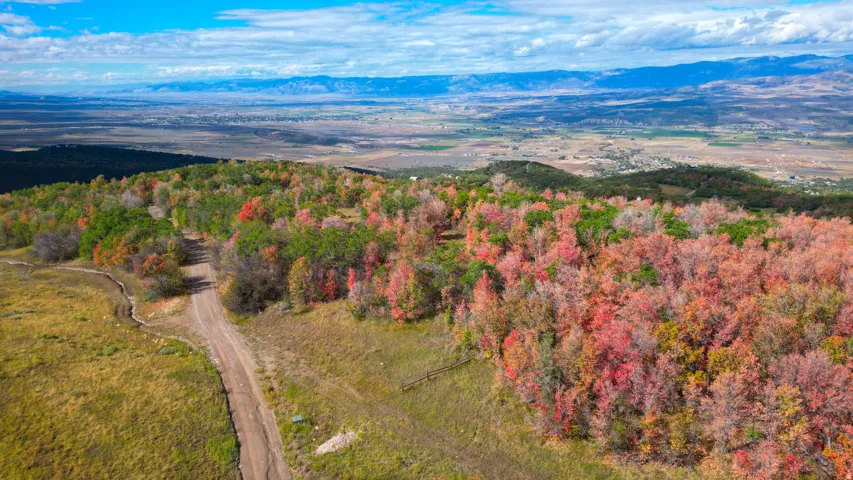Expansive natural landscape with varied terrain and vibrant autumnal foliage