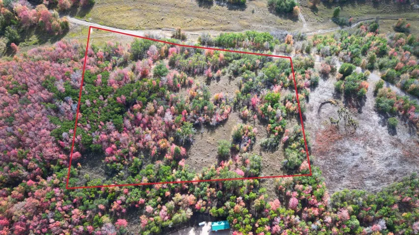 Expansive lot featuring varied topography and abundant natural foliage