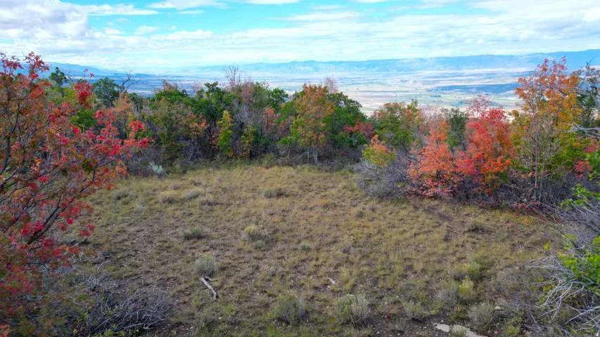 Expansive natural landscape featuring varied terrain and distant mountain ranges