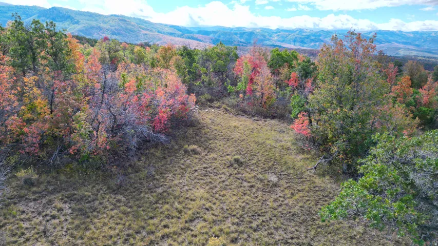 Expansive land parcel featuring natural foliage and distant mountain ranges
