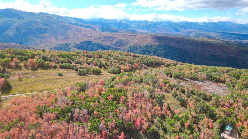 Expansive mountain landscape featuring varied tree coverage and a partially visible structure with a green roof