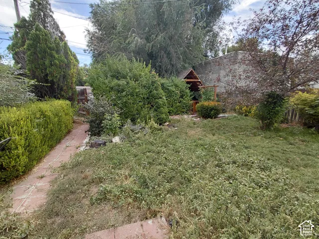 Path with brick pavers, mature hedges, and dense landscaping