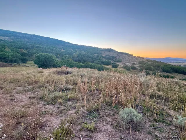 Expansive open land with varying native vegetation