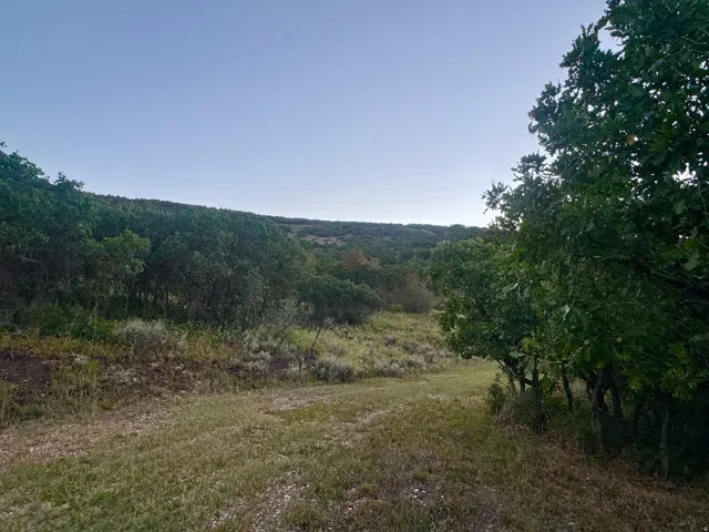 Expansive natural landscape featuring a grassy clearing and mature trees on a sloped terrain