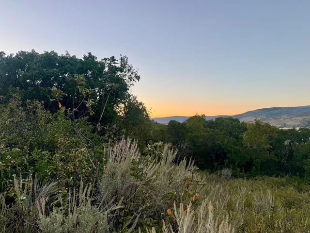 Mountain backdrop with natural foliage