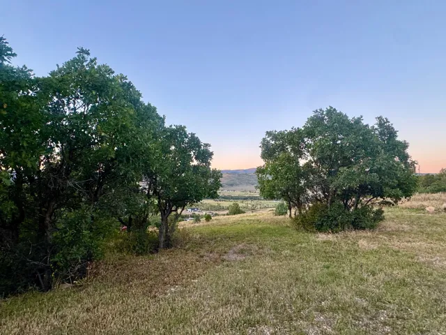 Expansive grassy lot with mature trees and distant mountain scenery