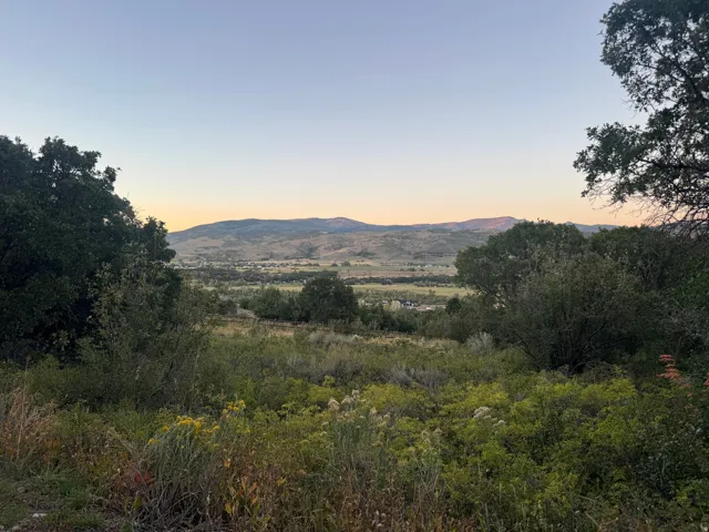 Expansive natural landscape with varied foliage and distant mountain ranges