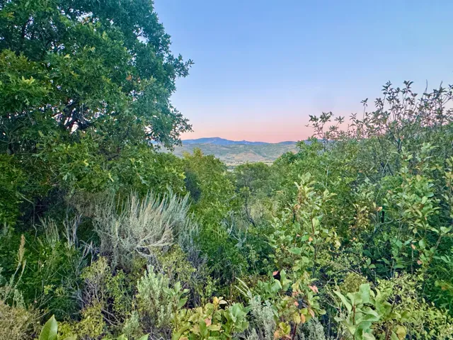 Expansive natural landscaping with mature trees and native flora, showcasing distant mountain ranges