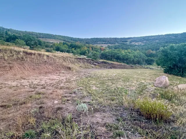 Expansive lot featuring varied terrain, natural vegetation, and distant tree lines