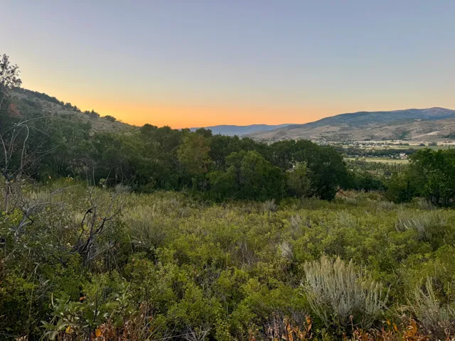 Expansive natural landscape featuring varied vegetation, rolling hills, and distant mountain ranges