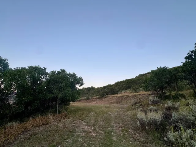 Expansive natural landscape featuring a clear sky, mature trees, and varied terrain