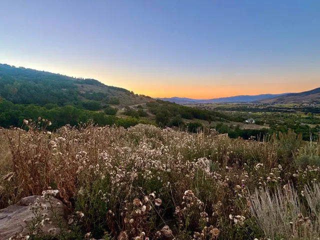 Expansive natural landscape with varied foliage and distant mountain ranges
