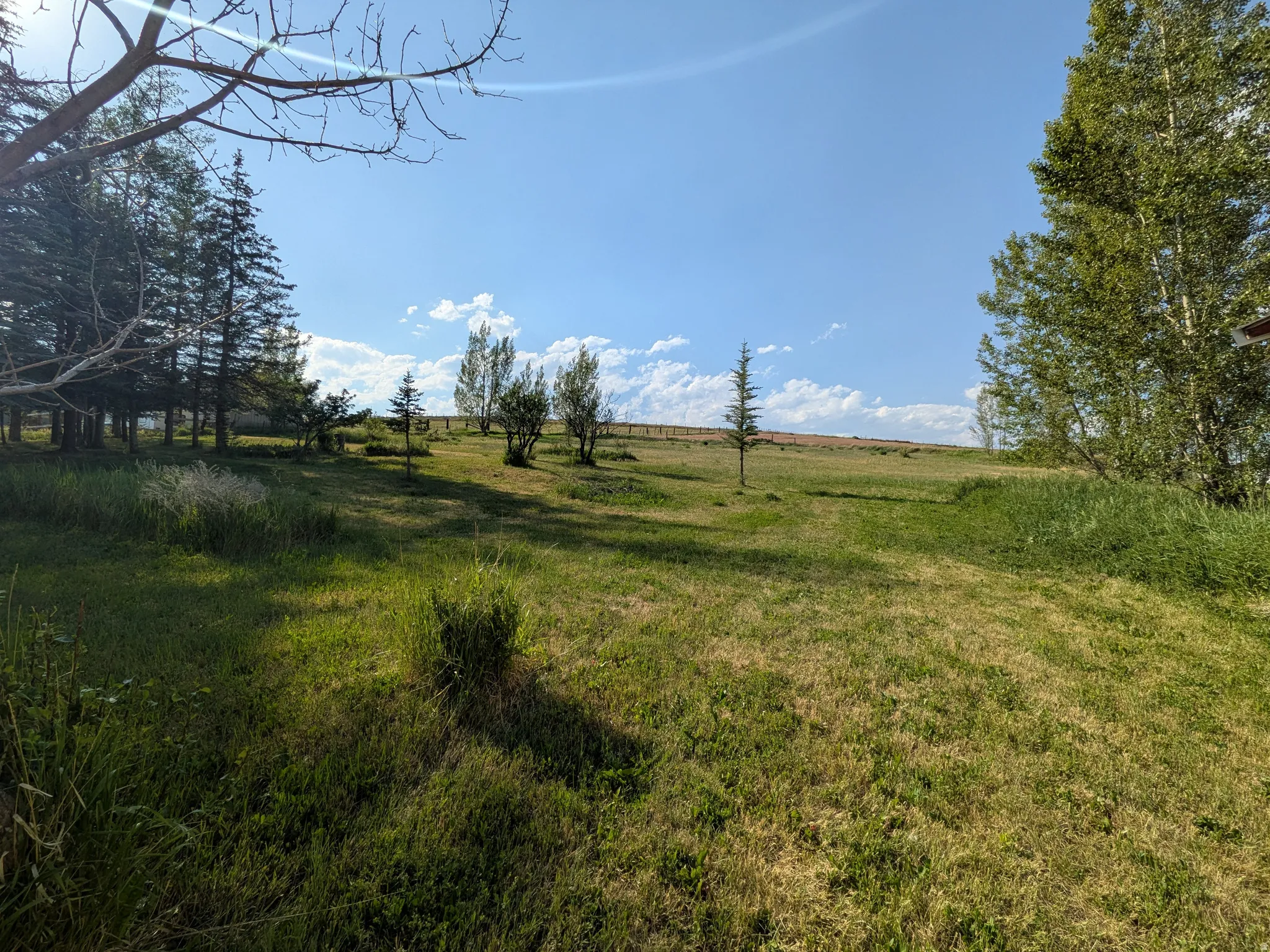 Expansive back acreage with grass area with mature trees and a clear sky backdrop