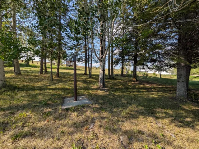 Back yard with grove of trees.