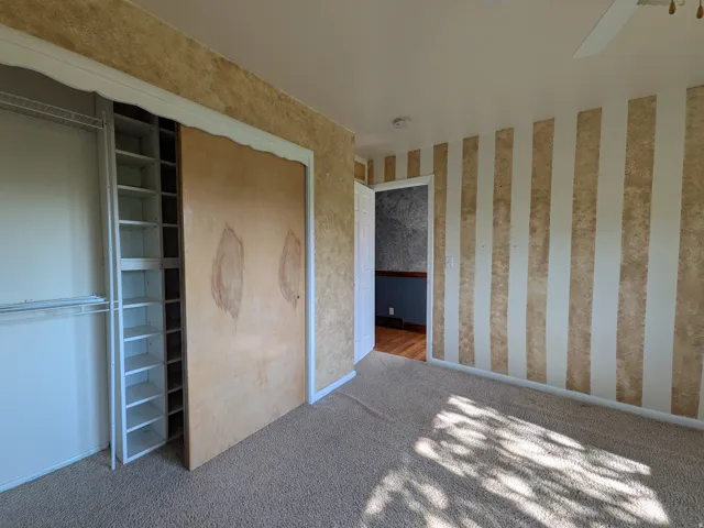 Carpeted flooring, built-in closet shelving, and a ceiling fan
