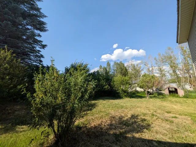 West side of yard.