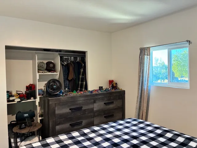 Built-in closet with shelving and hanging storage, textured dark wood-finish dresser with drawer pulls, and a window with a white frame