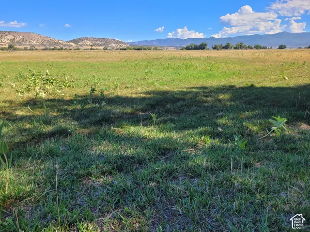 Expansive grassy fields with distant mountains and clear skies