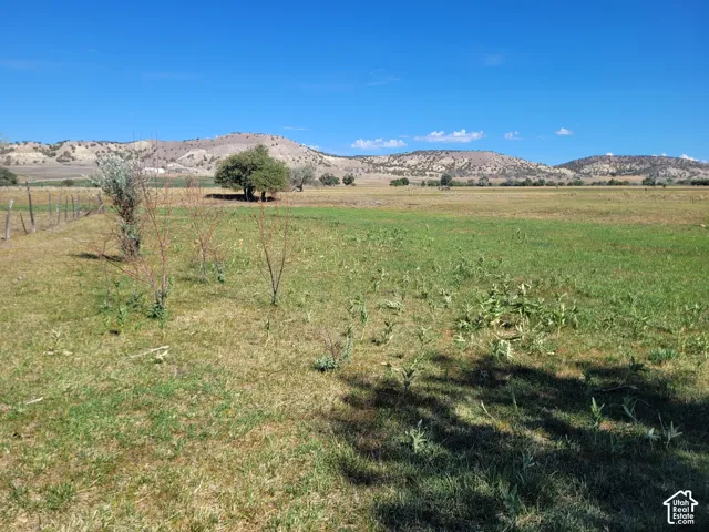 Expansive open field with natural grass and distant rolling hills