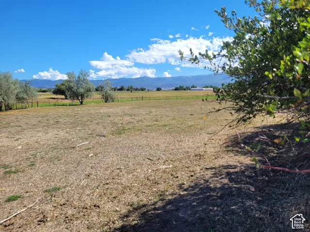 Expansive acreage with open pastureland