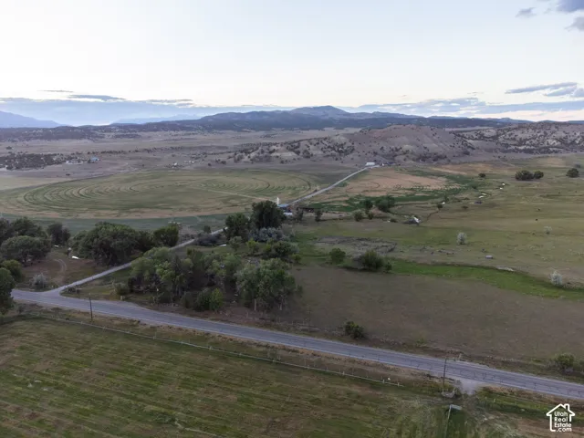 Expansive rural landscape featuring a paved road, scattered mature trees, and distant mountains