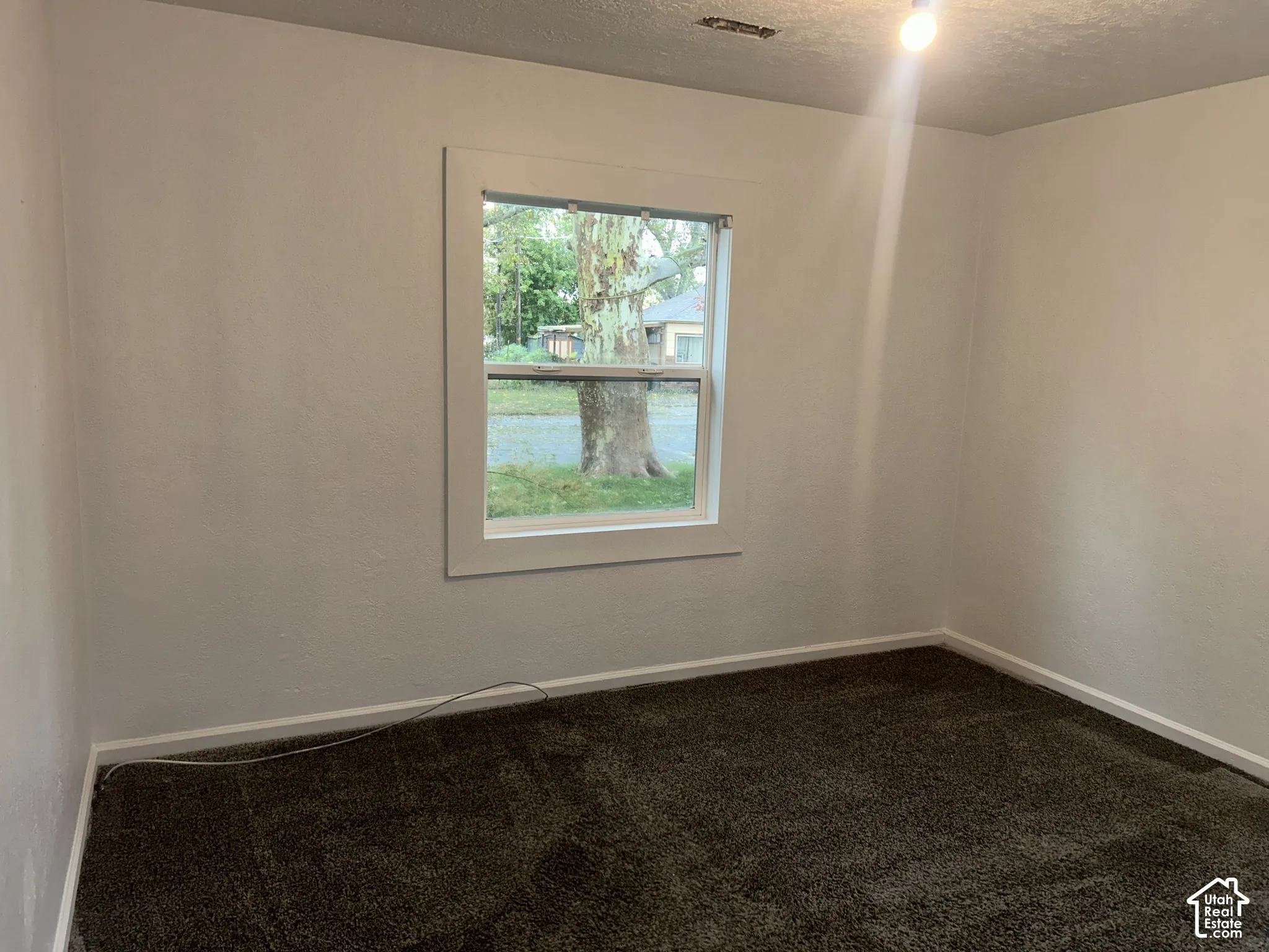 White interior walls with a single window, white trim, and dark brown carpeting