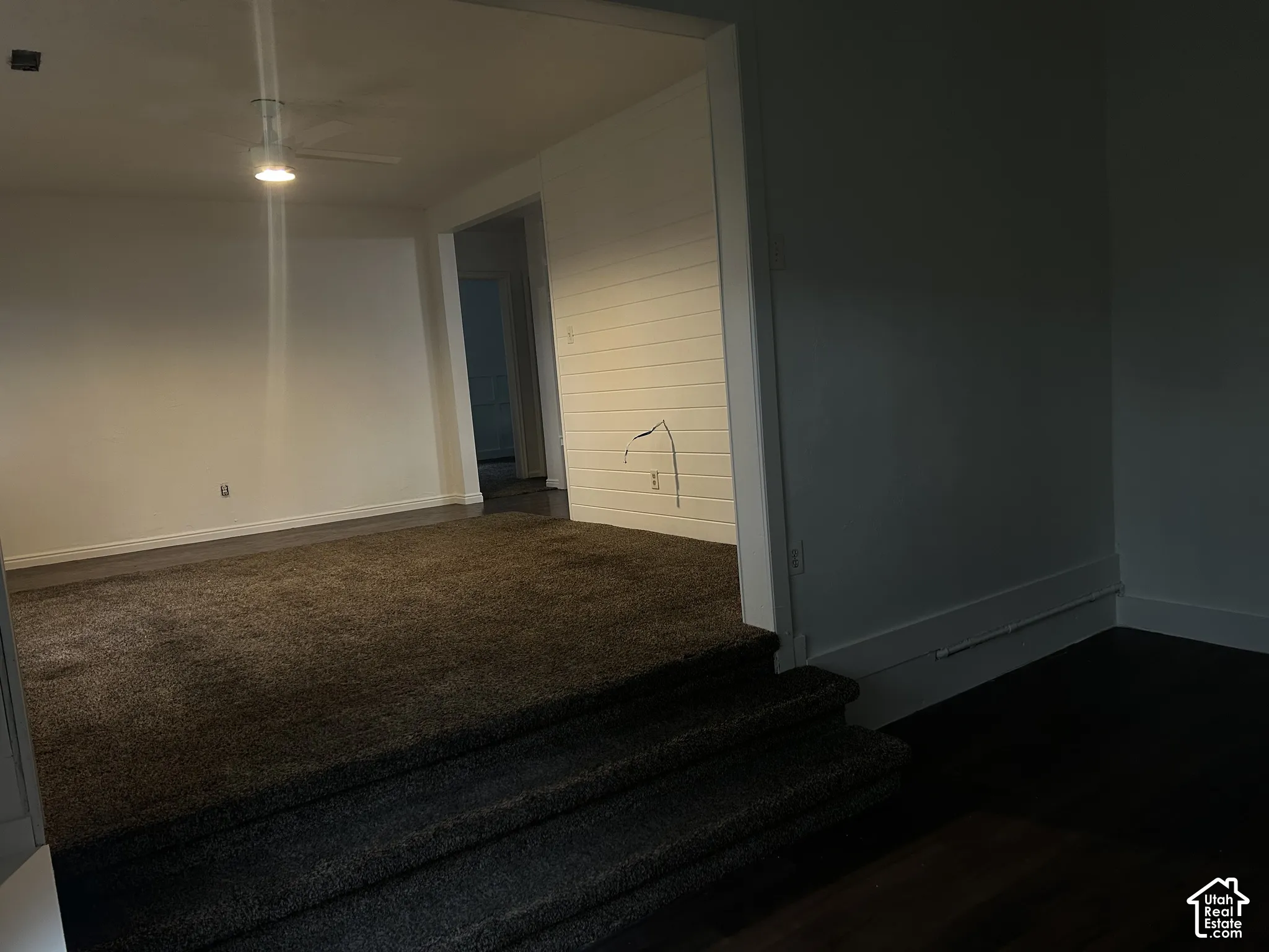 Carpeted flooring, ceiling fan with integrated lighting, white wall finishes, and wood-finish flooring