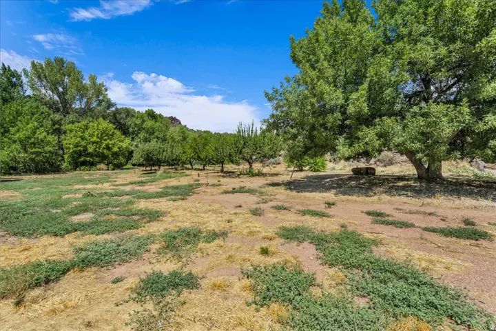 Expansive natural landscape featuring mature trees and established greenery
