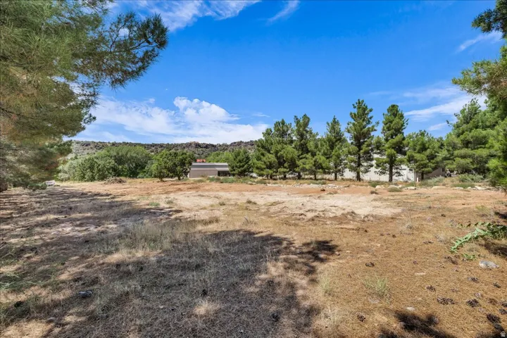 Expansive undeveloped lot featuring mature pine trees and natural landscaping