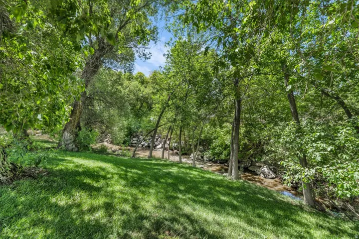 Expansive lawn area with a natural waterway, mature trees, and lush green foliage