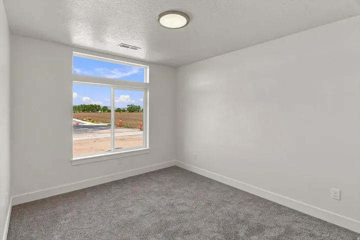 Wall-to-wall carpeting with a modern flush-mount ceiling light