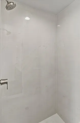 Walk-in shower with large format tile walls, recessed lighting, and a brushed nickel showerhead and control