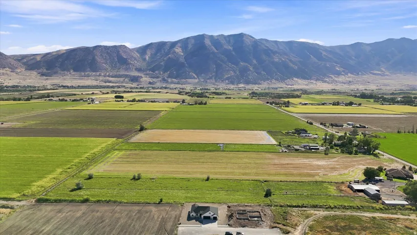 Expansive agricultural fields with distant mountain backdrop