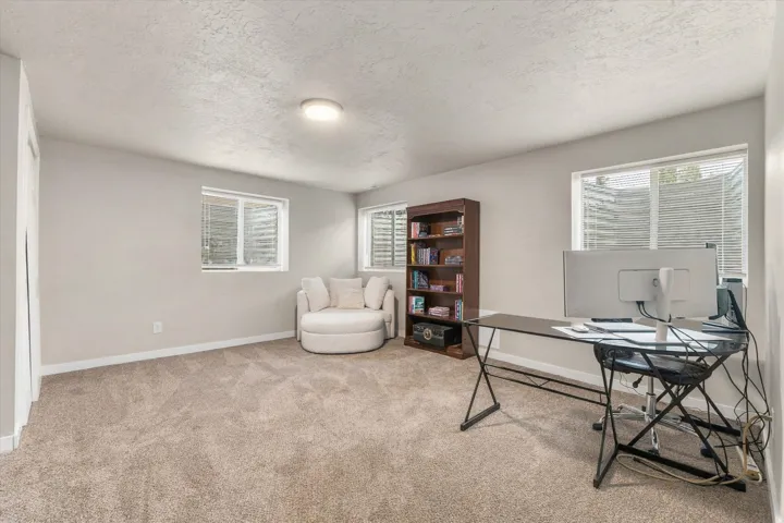 Carpeted room with light-colored walls, two windows, and a flush-mount ceiling light fixture