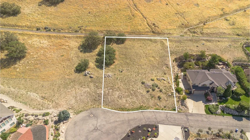 Expansive lot featuring natural, varied terrain with scattered trees and mature vegetation