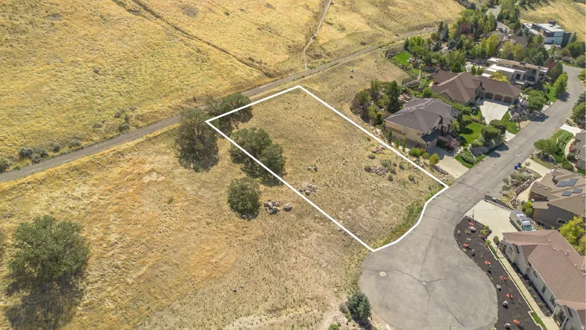 Expansive undeveloped lot with natural landscaping