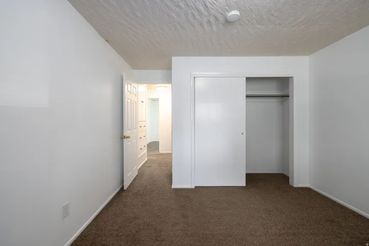 Neutral wall paint with textured ceiling, brown carpet, and a sliding closet door