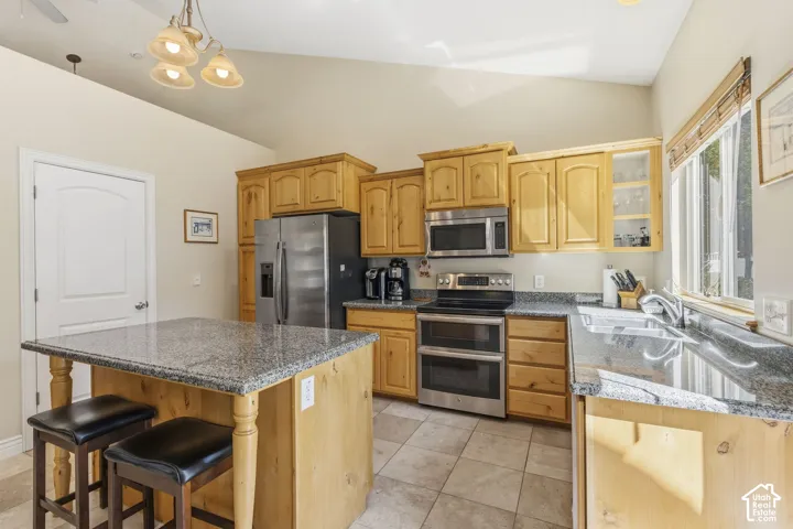 Kitchen featuring a vaulted ceiling, wood cabinetry, stainless steel appliances, granite countertops, and tile flooring