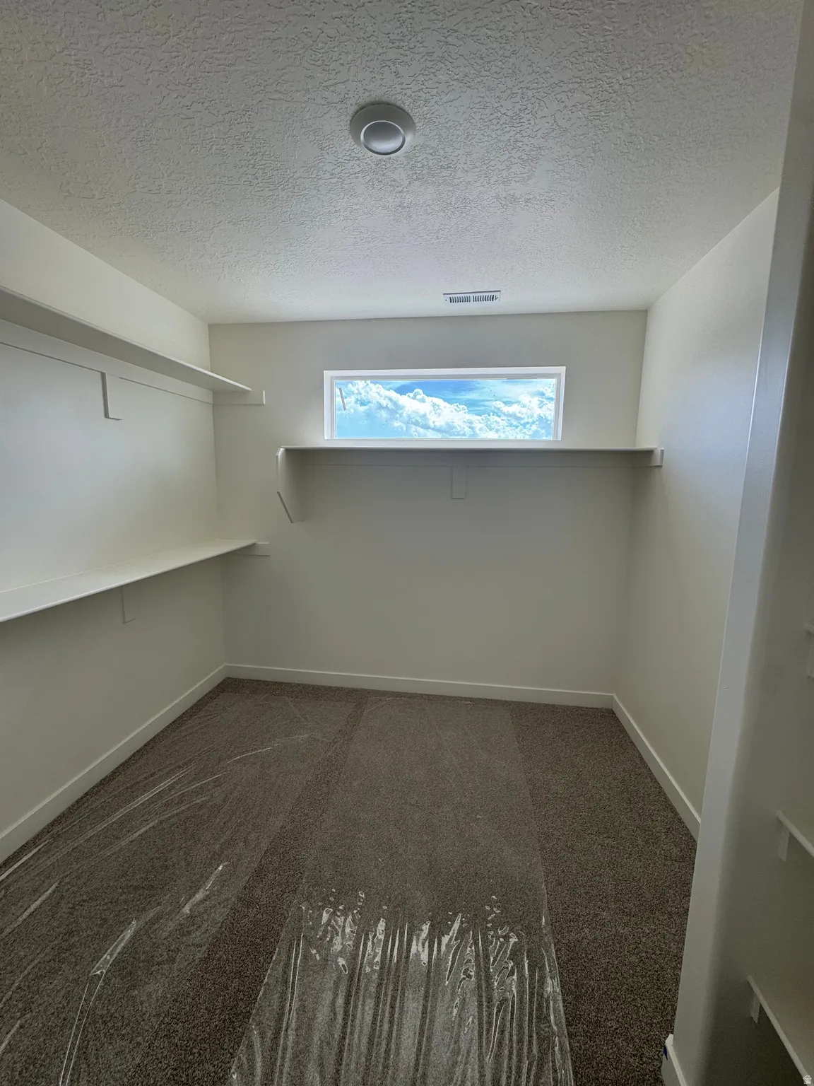 Carpeted room featuring built-in shelving, a horizontal window, and a ceiling-mounted light fixture